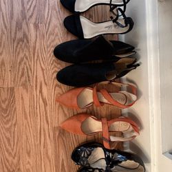 Show Bundle 10,11,12