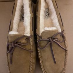 Ugg  Dakota  Chestnut  6 And  7 
