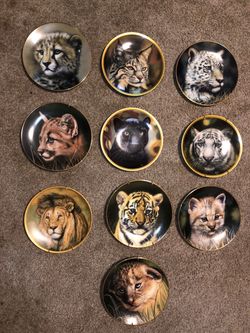 Collector plates