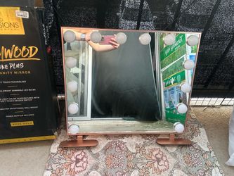 FREE Vanity Mirror (Lights DON’T work)