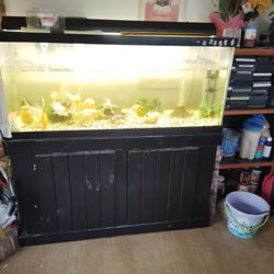 fish thanks 30 gallons for sale on live fish