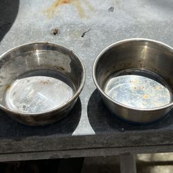 Small Saucer (feed Cats)