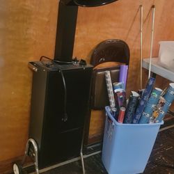 Belvedere Avant Guard Professional Salon Hooded Hair Dryer