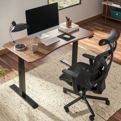 Castlery Emmerson Adjustable (55”) Standing Desk ❤️ (Still in Box)