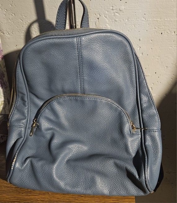 Leather Backpack.