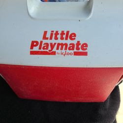 Little Playmate 