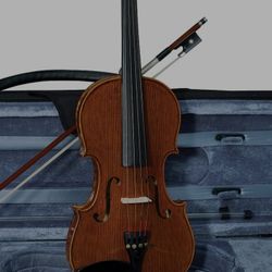 CLASES DE VIOLIN EN LINEA 100 DLS INCLUYE ARMONIA SOLFEO Y TEORIA MUSICAL