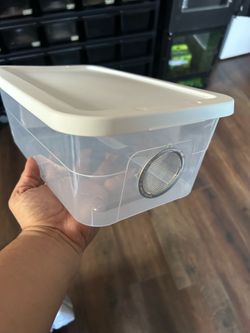 Gecko enclosures