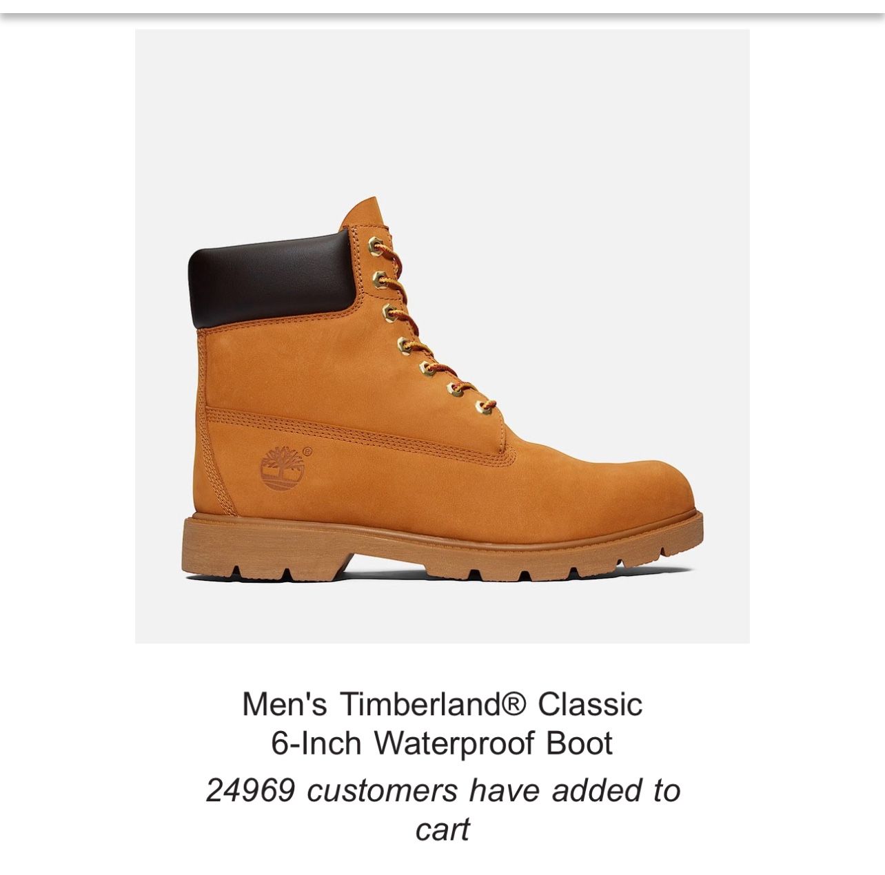 Brand New Timberland
