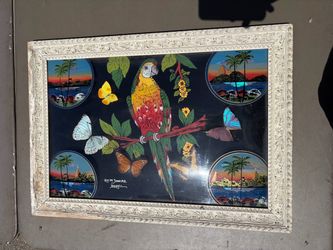 Rio De Janeiro Brazil Vintage 80s Souvenir Art Convex Bubble Glass REAL BUTTERFLIES