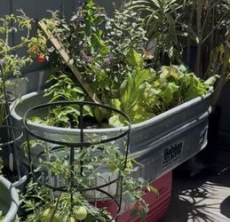 Behlen Country Metal Trough Planters