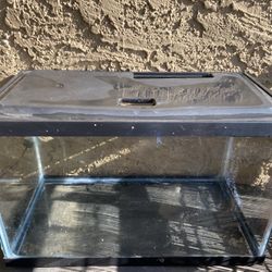 10 Gallon Fish Tank