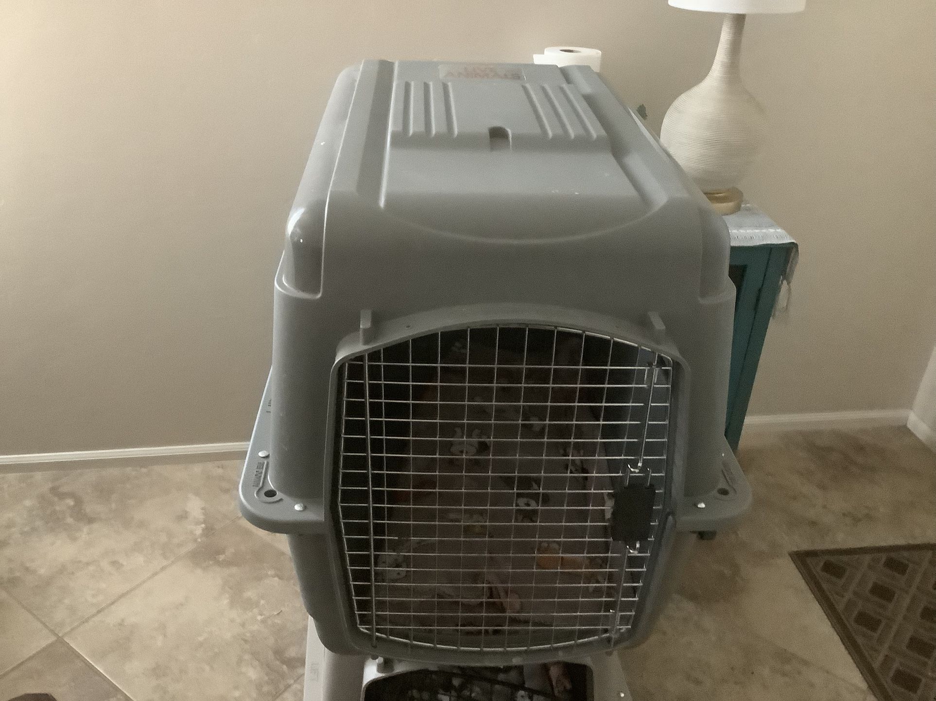 Large Dog Pet Taxi
