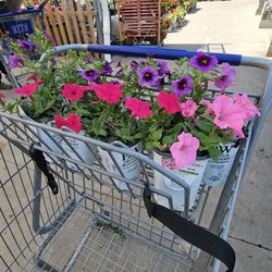 Planter available