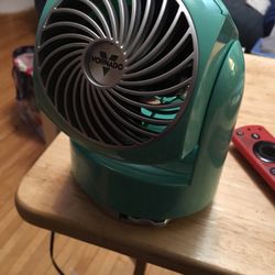 smaller mint green fan