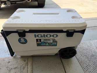 Igloo 90 qt cooler