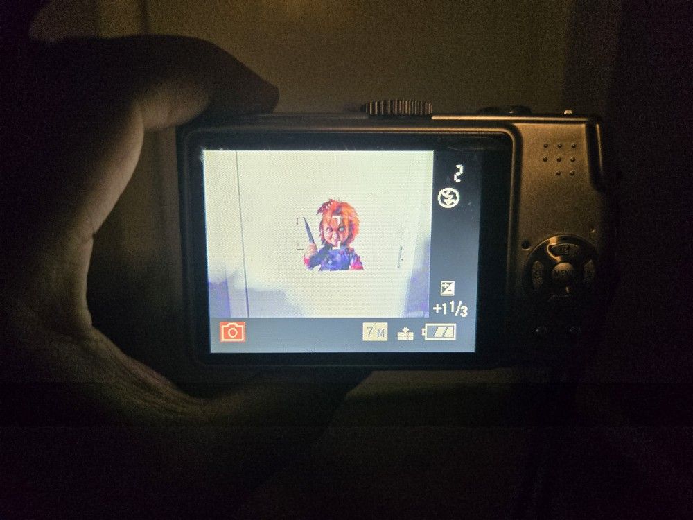 Panasonic Lumix DMC TZ3 7MP, 10x Optical Zoom, No charger