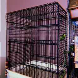 Bird Cage -Large
