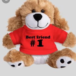 #1 Best Friend Teddy 