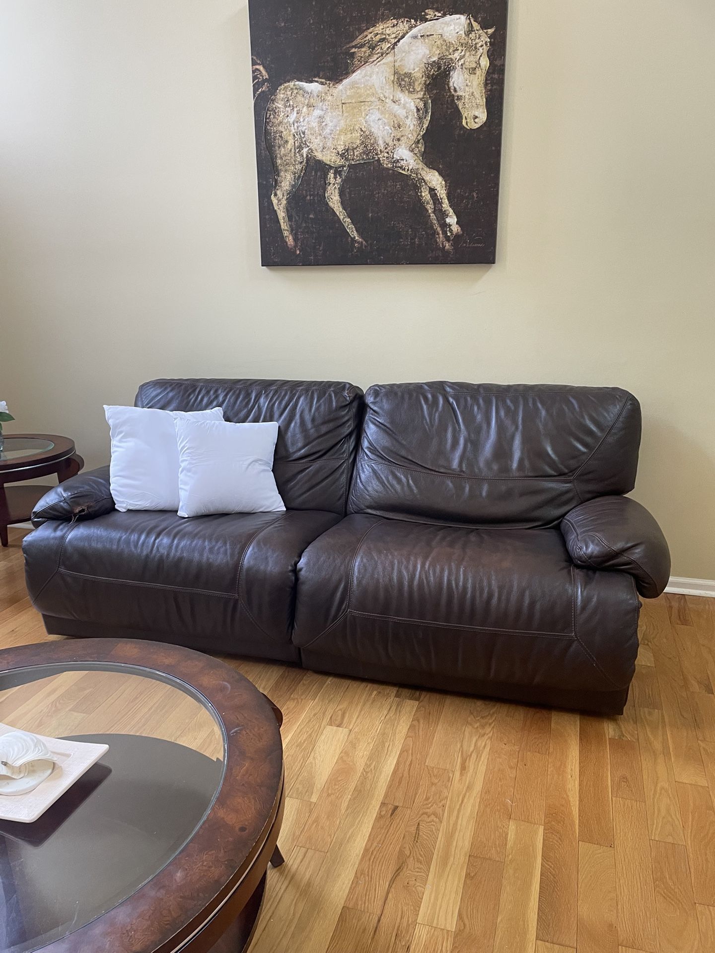 Leather Sofa Sectional Set