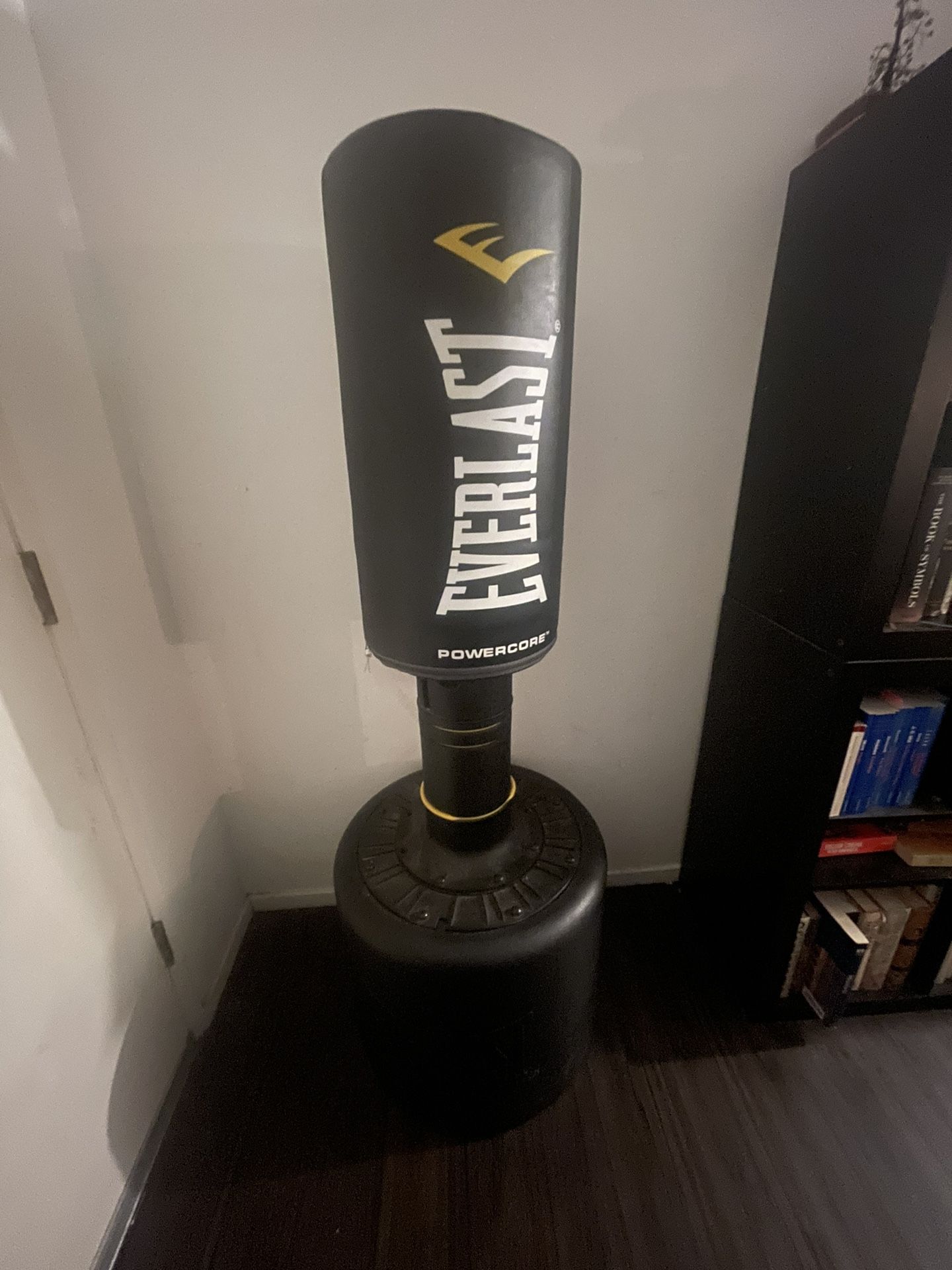 Everlast Powercore Punching Bag