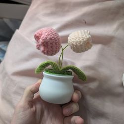 Pink And White Tulip Crochet