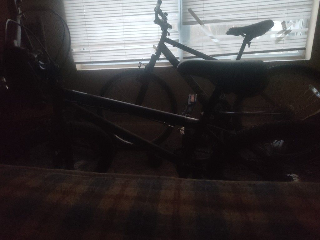 Mongoose BMX