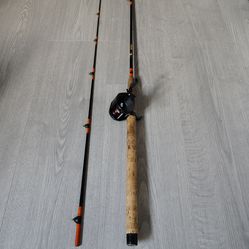 Fenwick HMG Steelhead Rod