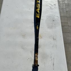 Easton S1 29in 19oz Baseball Bat