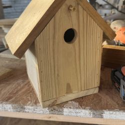 Bird House 
