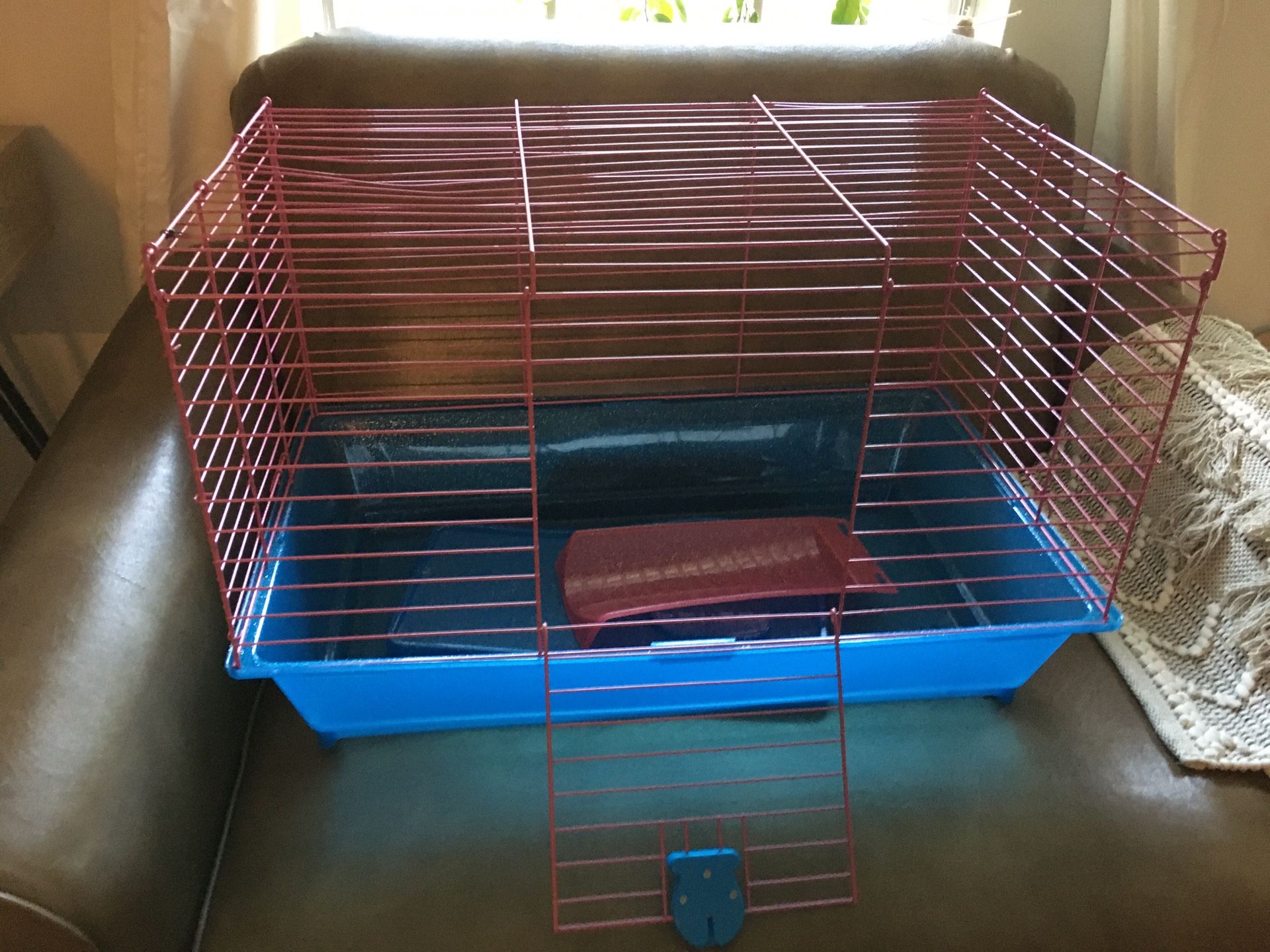 Guinea pig cage