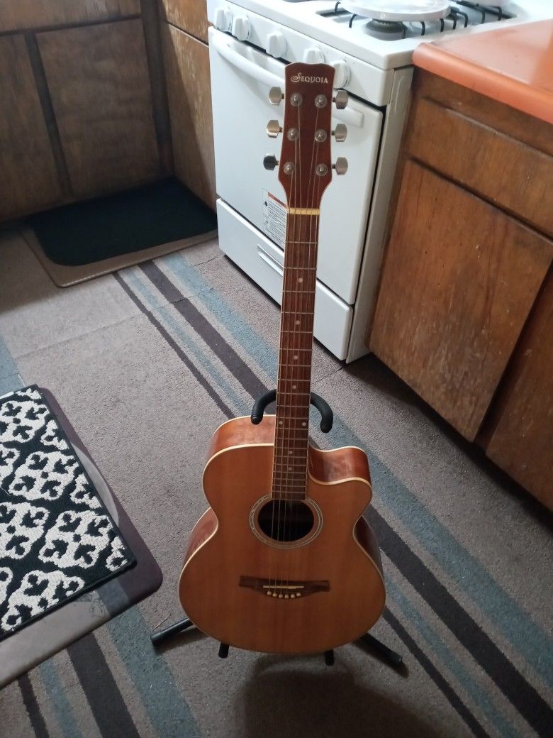 HARD TO FIND VERY RARE SEQUOLA ACOUSTIC GUITAR NEEDS NEW STRINGS. AND FRONT BRIDGE. HAS A GOOD SHINE TO THE GUITAR.