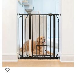 Dog Gate