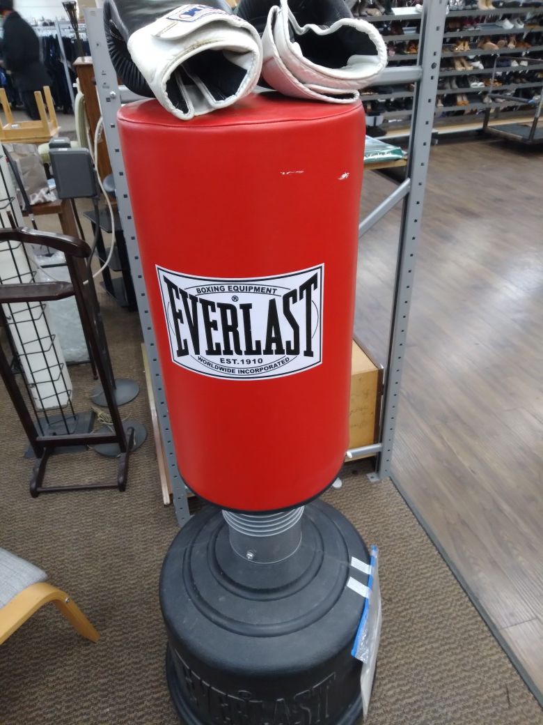 Everlast kick boxing bag