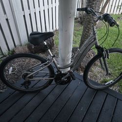 2 Trek Bikes
