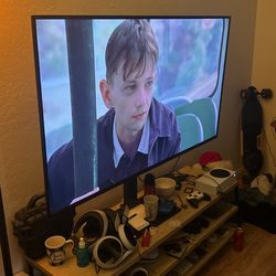 2019 65” Sony Bravia 4k TV Plus