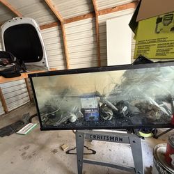 55 gallon fish tank