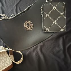 Valentino Purse 