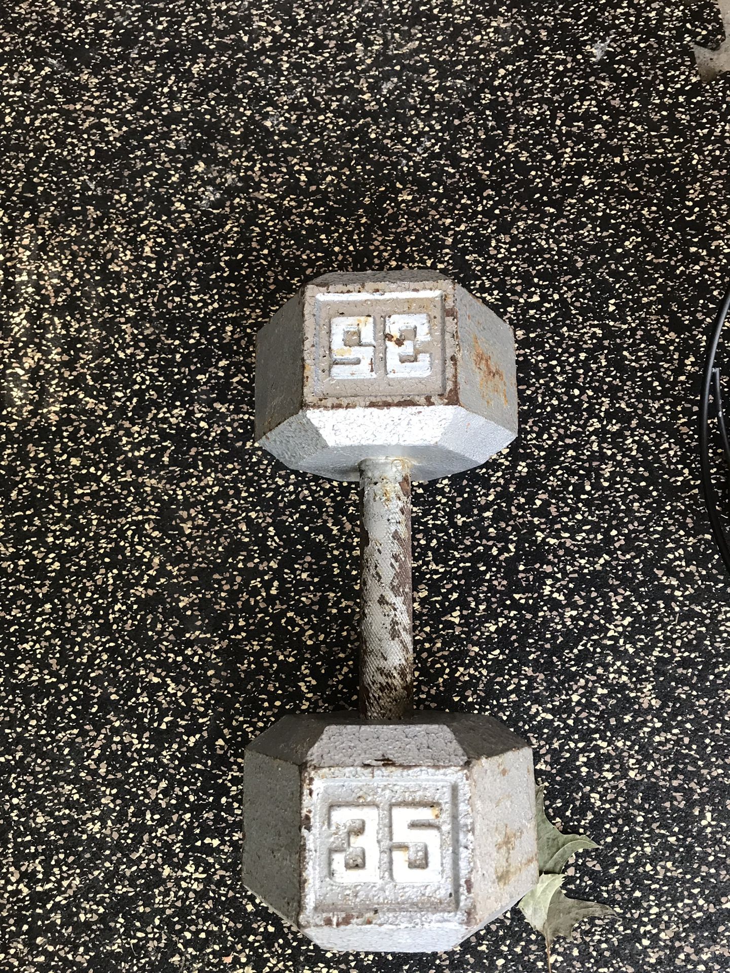 35lb Dumbbell