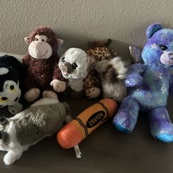Stuffed Animal 