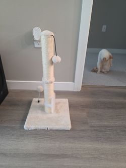 Cat scratch post