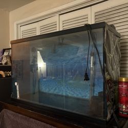 30 Gallon Tank
