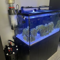 COMPLETE SALT WATER TANK SETUP 