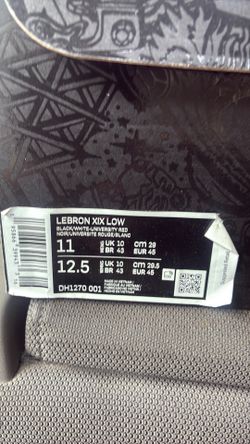 Lebron XiX low
