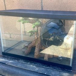 FISH TANK Terrarium/Aquarium w/accessories 