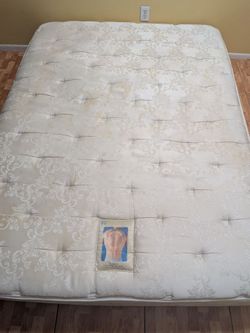 Sealy Que,en Mattre,ss 13.5” - Cleaned & Sanitized + Thick Comfort Cover https://offerup.com/redirect/?o=SW5jbHVkZWQuRGVsaXZlcnk= availabable.