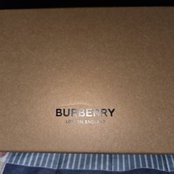 NEW Burberry Sunglasses 