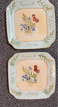 Botanical Herb Square Decorative Plates Set of 2