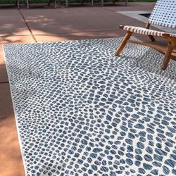 7x10 Indoor/outdoor Area Rug