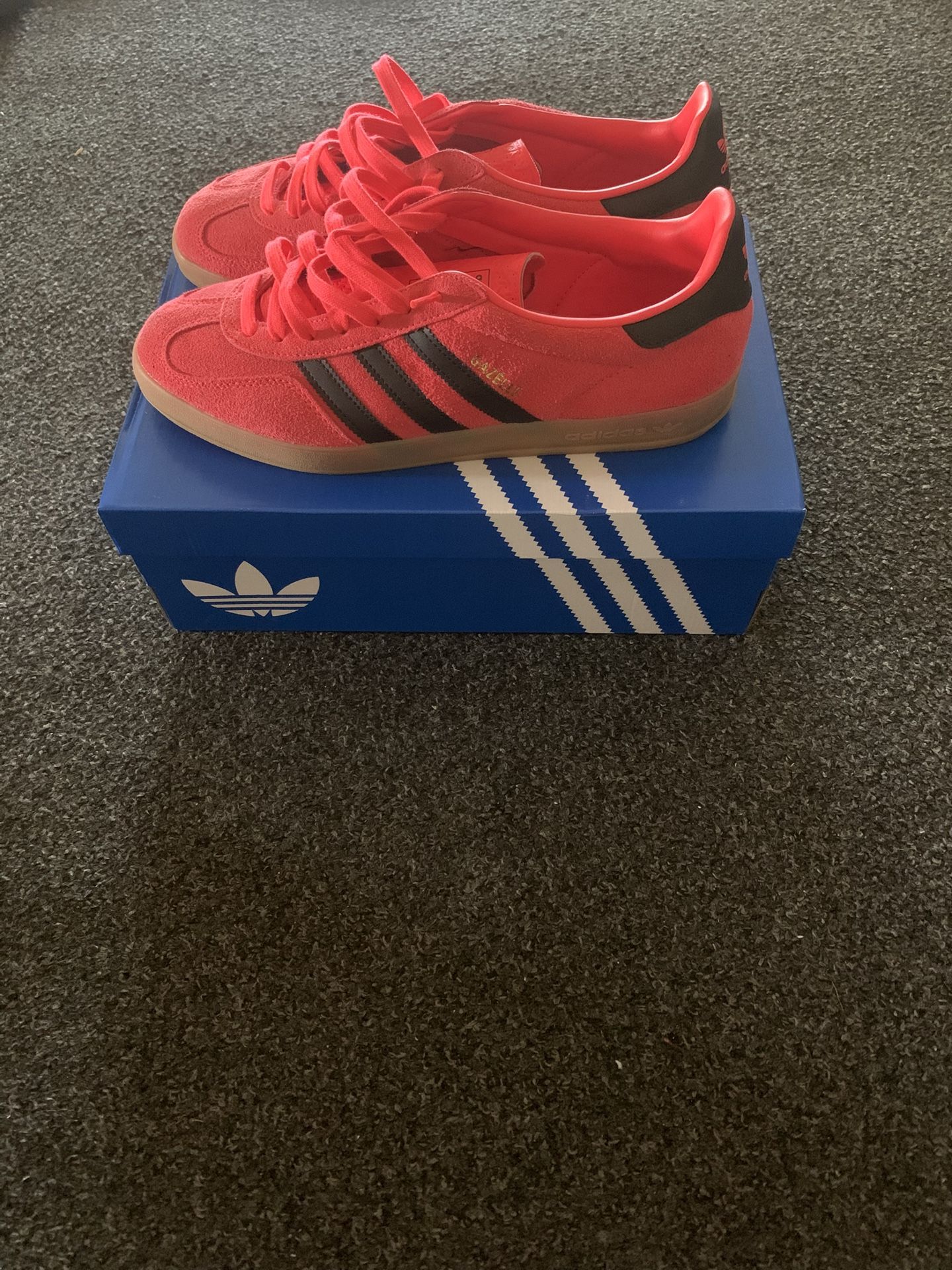 Gazelle Indoor Adidas Size 12